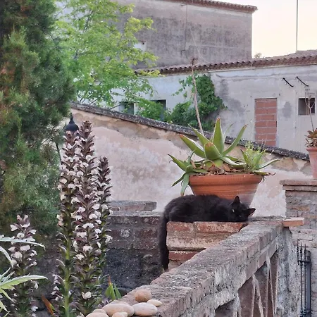 Allotjament i esmorzar Ca Na Marie Piera